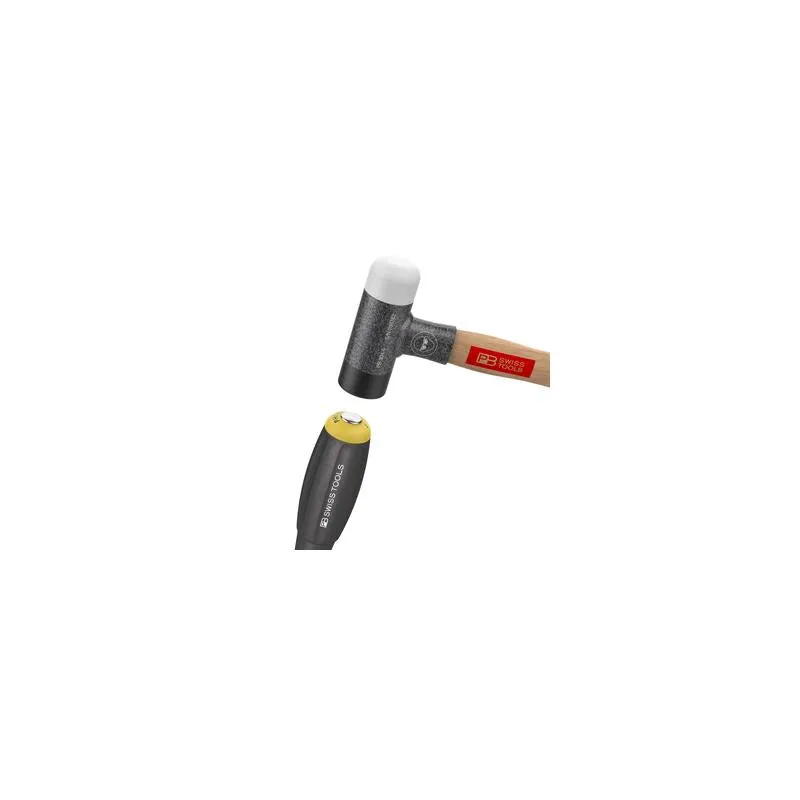 PB Swiss PB 8193.DN 2-100 Swiss Grip Screwdrivers with Hex Wrench for Phillips Screws, PH2 x 100 mm