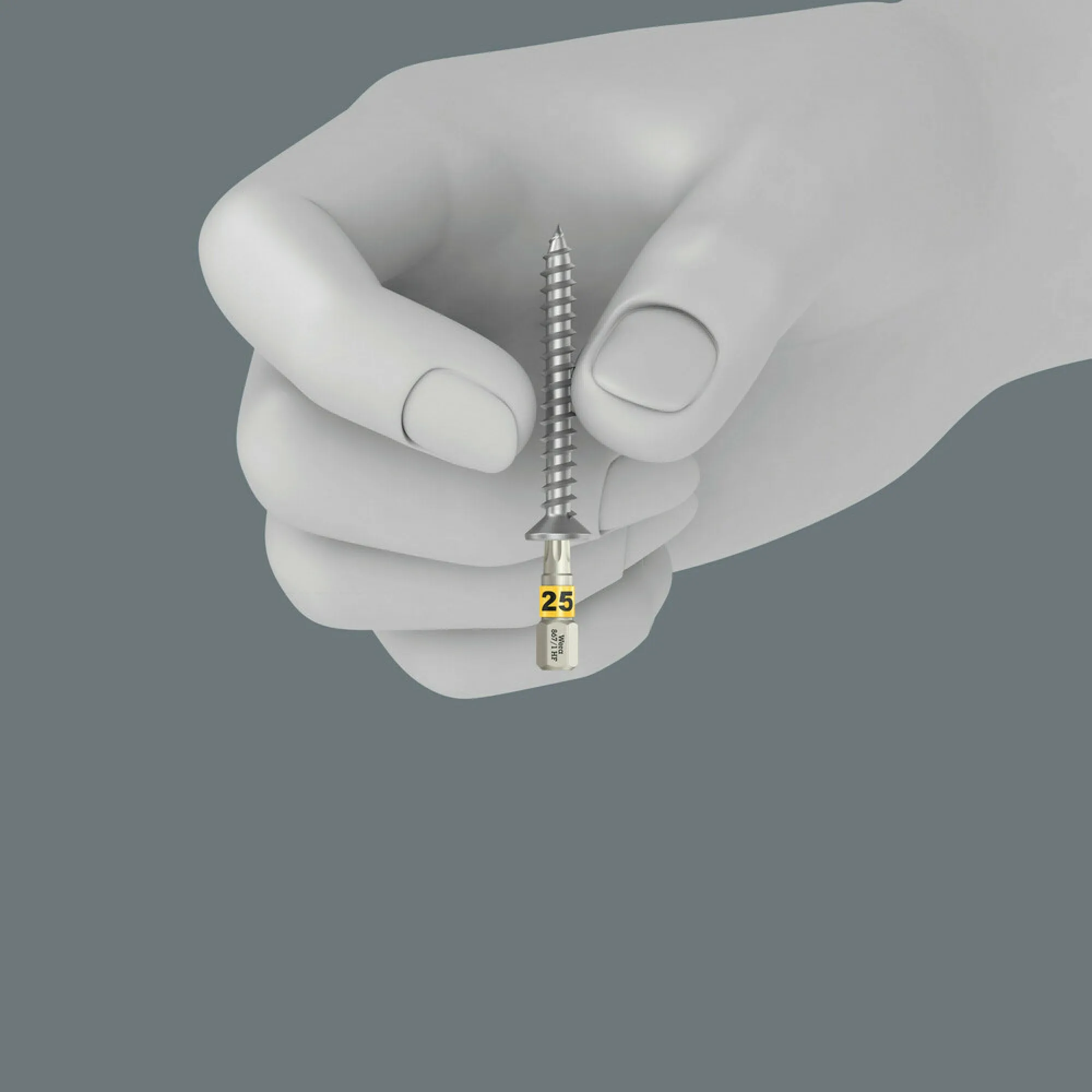 Wera 867/1 TORX HF Bits with holding function, TX 30 x 25 mm