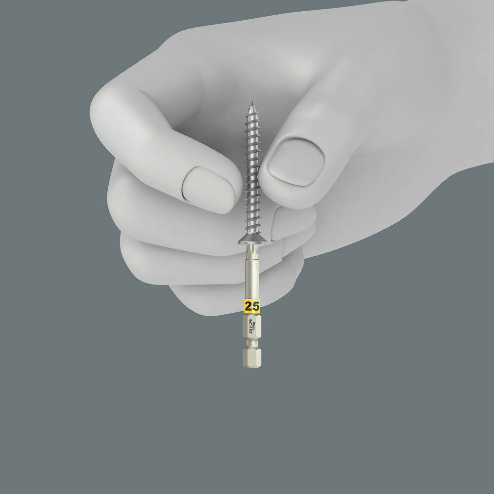 Wera 867/4 TORX HF Bits with holding function, TX 40 x 89 mm